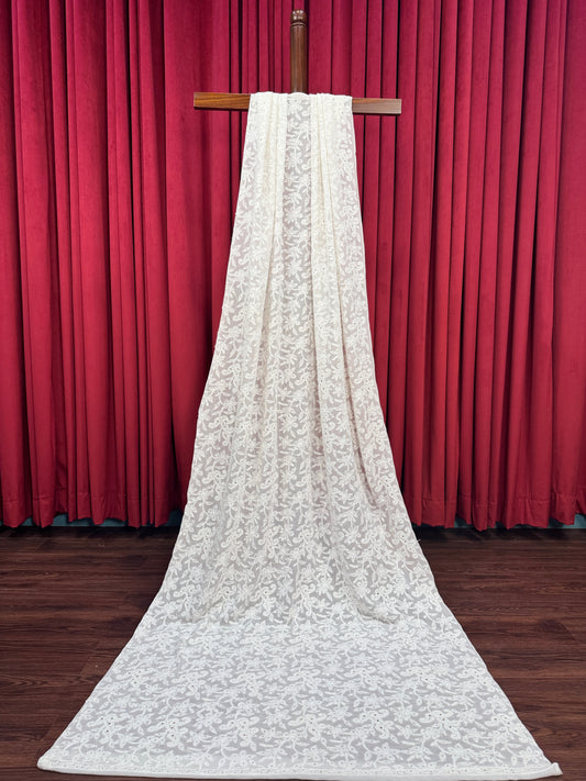 Chiffon Chikankari Jaal Dupatta with Dapka Mukesh