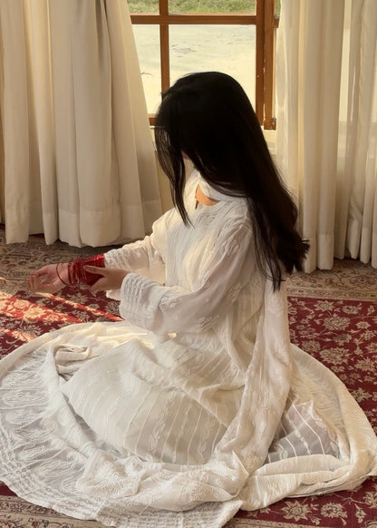 Chiffon Resham Chikankari Anarkali (Formal)