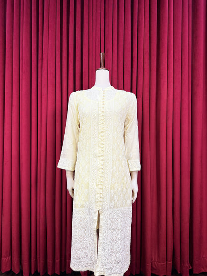 Soft Net Chikankari Kurta